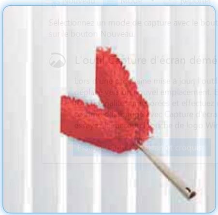 TTS Plumeau en U – Image 3